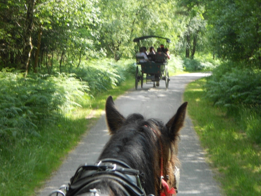 20130710-231023.jpg
