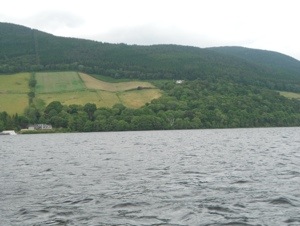 20130718-221507.jpg